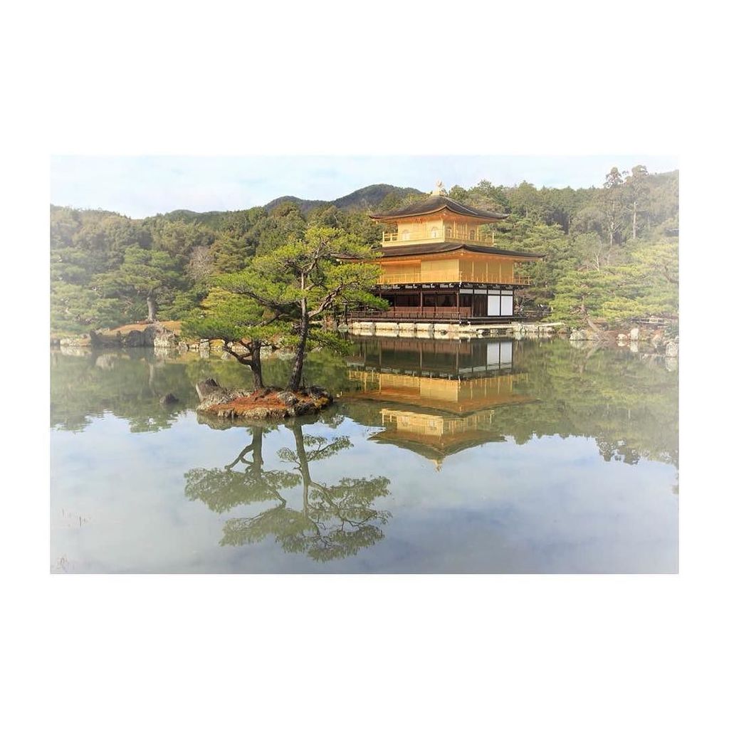 mogmog2017's tweet photo. 金閣寺、美しい…
So beautiful…Kinkakuji-temple.

#kinkajuji #rokuonji
#kyoto #temple 
#japantravel
#japantrip
#wheretogoto… https://t.co/m3GrG8aKBn https://t.co/DkoyNqnHfj