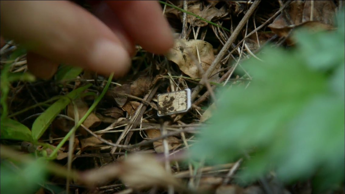 DNBSQl7UEAAJmun.jpg:large