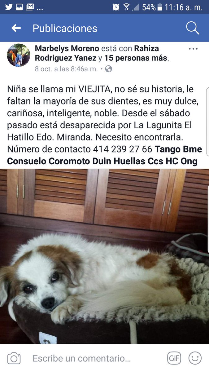 DUINCONSUELOC's tweet photo. ATENCION #ELHATILLO #NIÑA MAS DE 20 DIAS PERDIDA 
REPORTA @Sylebram64 ¡¡EXTRAVIADA POR LA LAGUNITA EL HATILLO!! AYUDENME A ENCONTRARLA!! https://t.co/Y58FGz6xKf