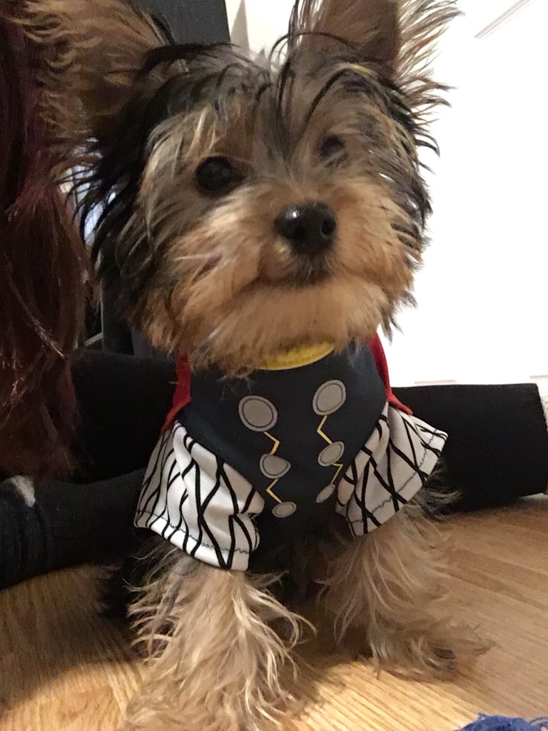 CaptainLynn109's tweet photo. @GeorgeTakei Dr Watson as Thor https://t.co/mG2U9R3Dyj