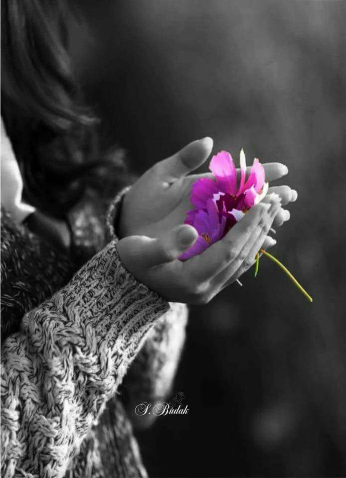 Bayan22l's tweet photo. إذا اردت ان تعيش ⚘
 سعيداً فلا تحلل كل شي⚘
 ولا تفسر كل شي ⚘
ولا تدقق في كل شي فإن الذين حللو⚘ الالماس وجدوه فحماً https://t.co/qp3BkUy56J