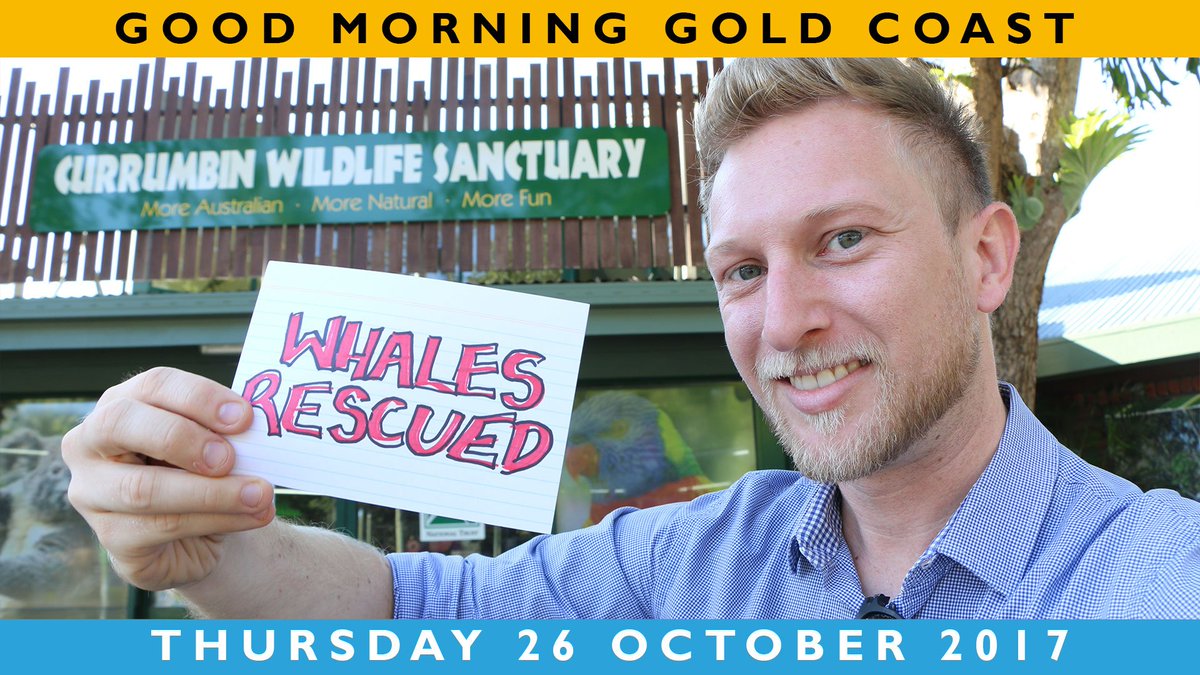 myGoldCoast's tweet photo. TODAY: FestEvil at the Fang-tuary @CWSlive; Blanc de #Blancshow; and @SwWhaleWatch rescuing whales off Miami Beach: https://t.co/4kGeV6IonO https://t.co/AmY8QTmaQ1