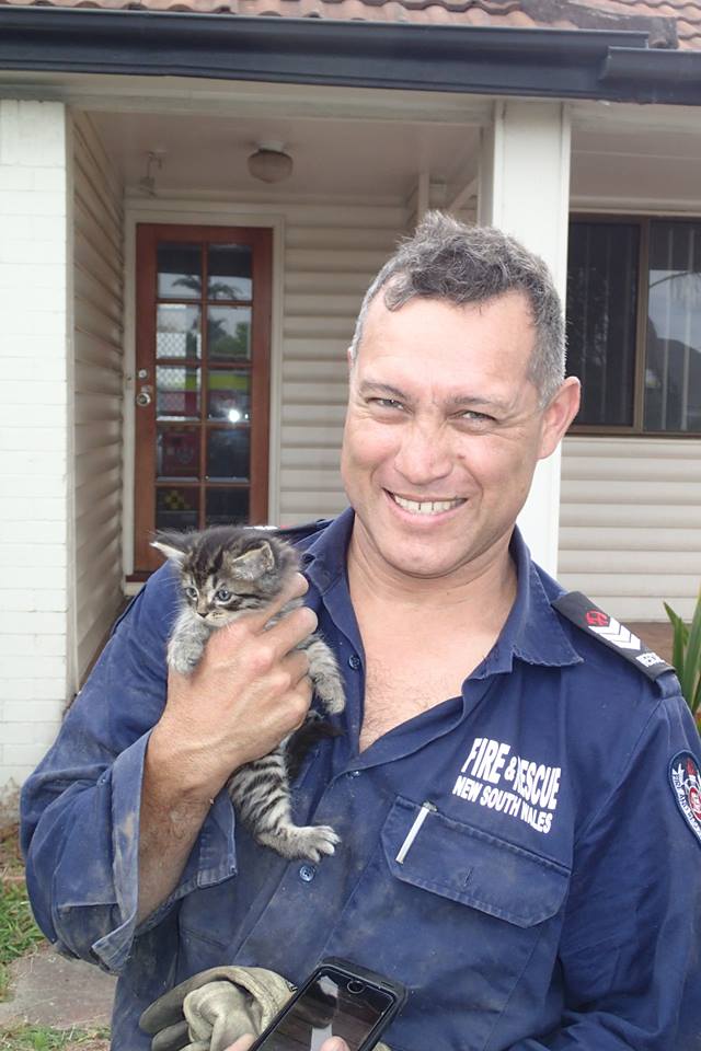 Rescues don’t come much smaller than this! This kitten is safe &amp; sound after being saved from a floor cavity by Wollongong firefighters.