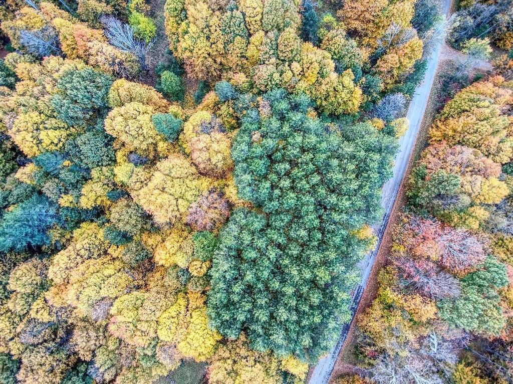 elijahflyphoto's tweet photo. Broccoli street .
.
.
#fallcolors #autumn #puremichigan #trees #affinityphoto #autelrobotics #xstarpremium #drone #dronestagram #droneofthe… https://t.co/LSEoNHLQ8a