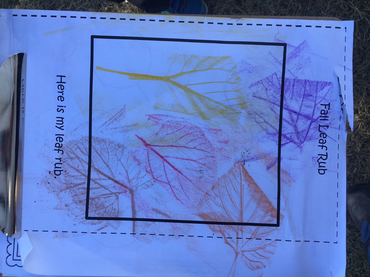 MrsZimon's tweet photo. #outdoorlearning #allaboutfall @ChristinaGFMPSD #fallleaves #leafrubbing #ONEderfulkids https://t.co/2CDHUeG0ei
