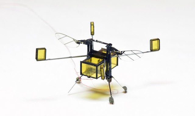 RoboBee microrobot can now dive, swim and burst back out of the water bit.ly/2zQq5Zp