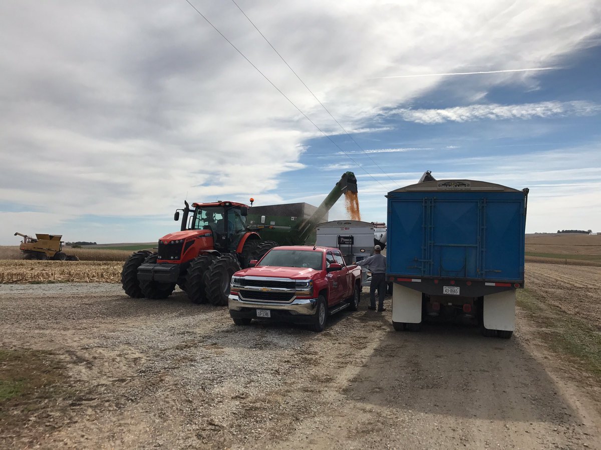 jordan_pfeifer's tweet photo. Thanks John and Jim Doernemann for a great dryland P3 6-7-8 plot average 220 with little rains this summer. @ProducersHybrid #PHYieldZone https://t.co/mxw0snKP7r