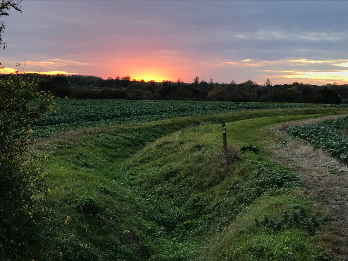 AnnetteGately's tweet image. Pic from last night. Special place for walks, talks, views,big skies and sunsets #suffolk #life #love @Nickhulme61