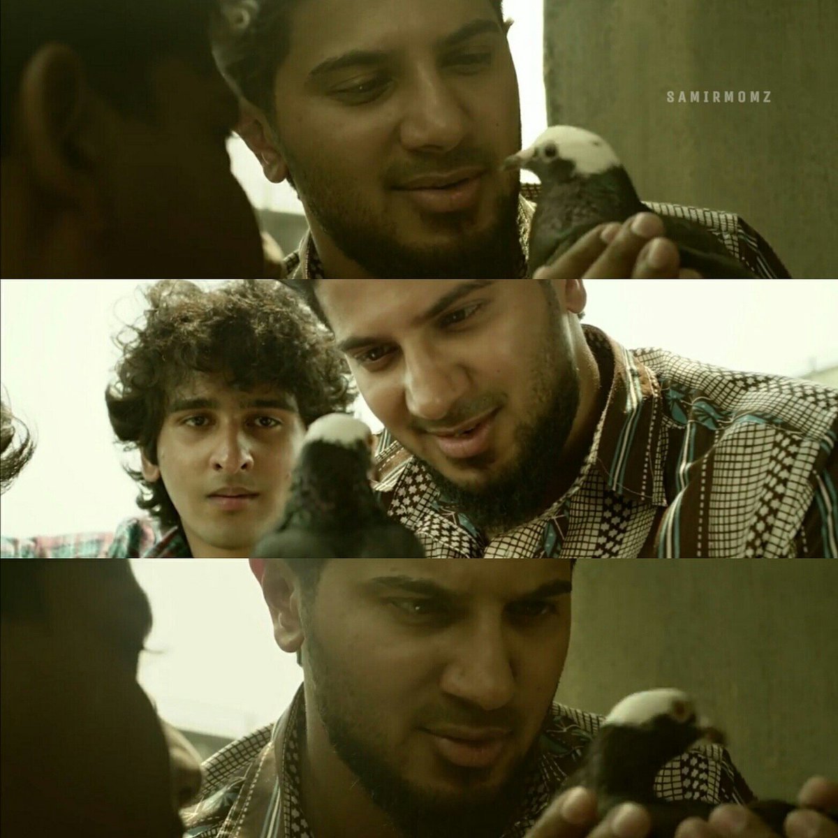 iamsameerDQ's tweet photo. കണ്ണ് കണ്ടാ... പൗളി പറവയാണ് 😘😘
ഇമ്രാൻ ഇക്ക  #paravamovie @dulQuer ikka 😘😘 https://t.co/QcpbhBdzfG