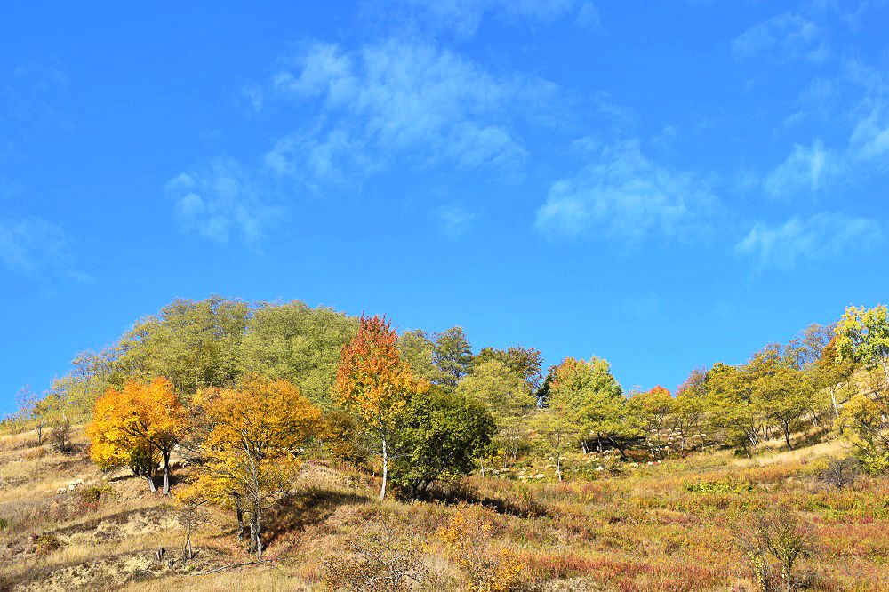 The world is a book and those who do not travel read only one page. - Augustine of Hippo - #travel