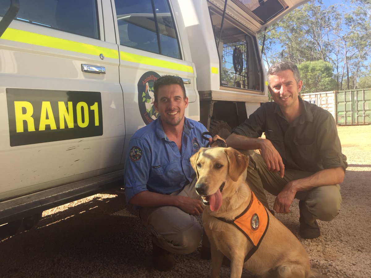 @TSCommissioner tweet media