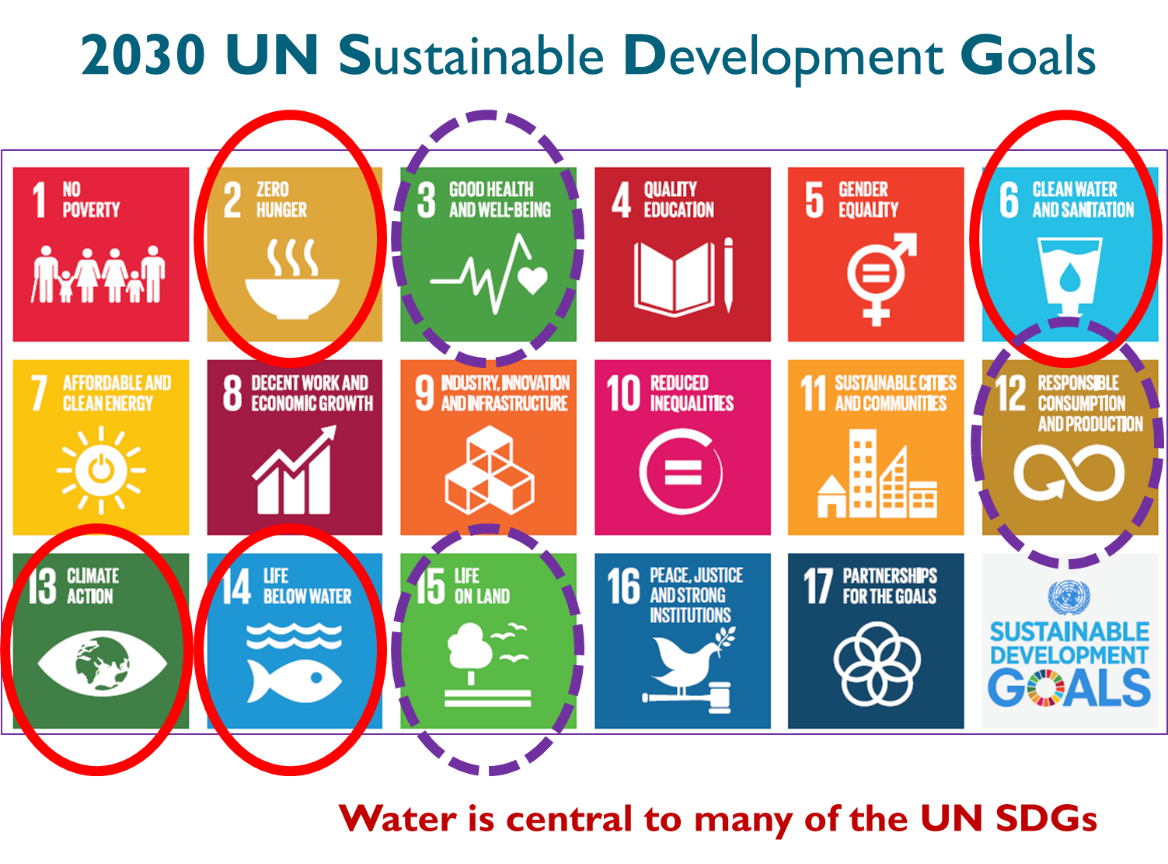 Спорт и устойчивое развитие. Sustainable Development goals. 17 Goals of sustainable Development. Un sustainable Development goals. Sustainable Global goals.