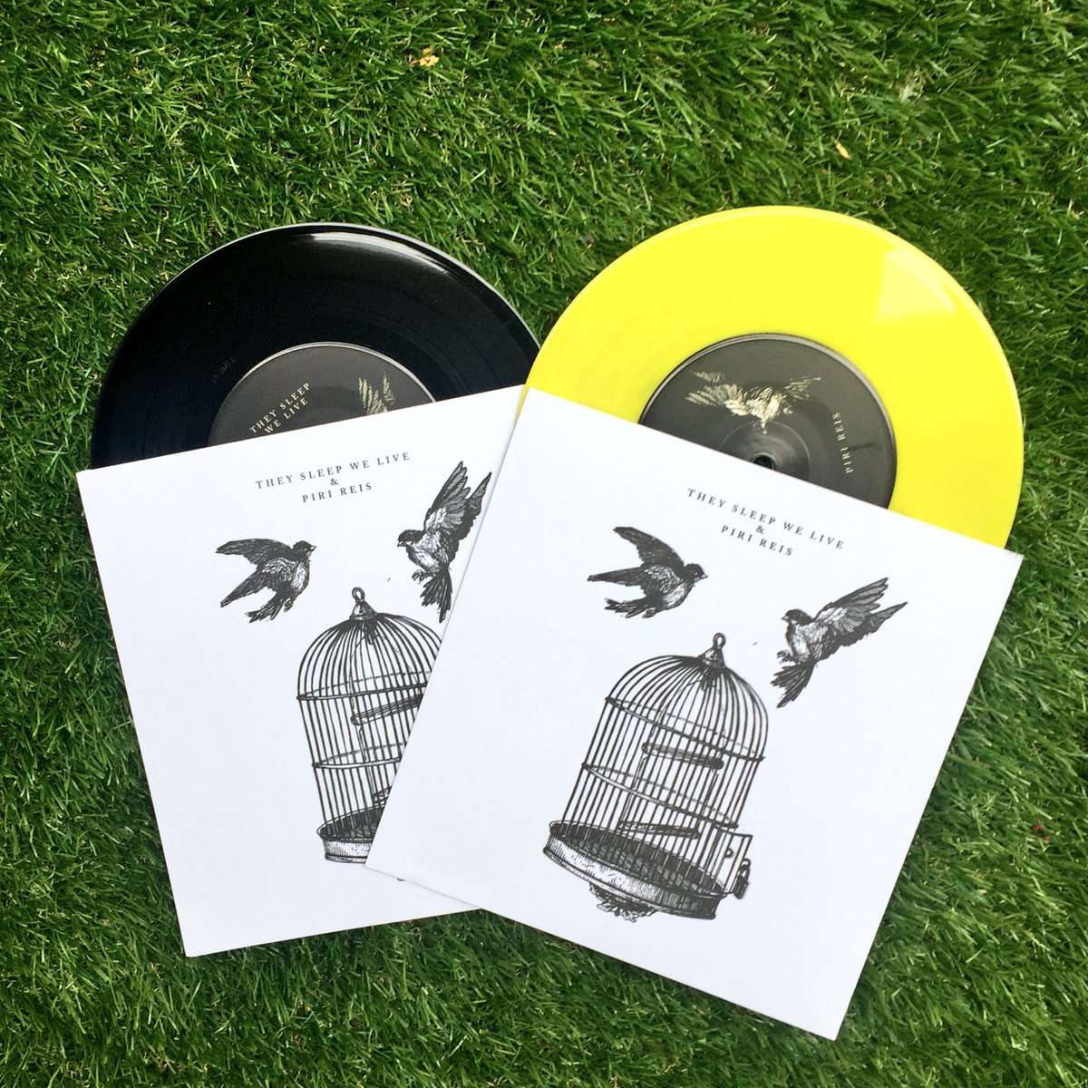 pirireispunx's tweet photo. Piri Reis / They Sleep We Live - split 7" OUT NOW!
contact @utariddistro to purchase. #pirireispunx #theysleepwelive #skramz #emoviolence https://t.co/gXw9ztSgHC