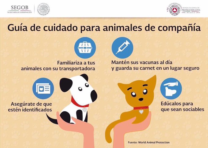 Ver imagen en Twitter