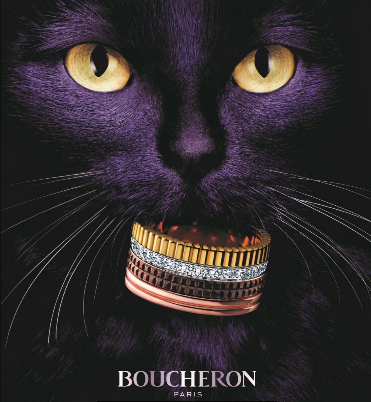 Boucheron cat deals ring