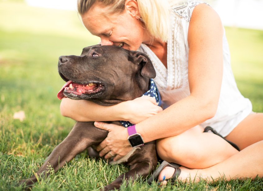 Zappos's tweet image. GA, find your peach! Friends on Us Fridays is coming! Adopt a furry friend and get costs covered! #ZapposForPets zps.to/buFKJS7b