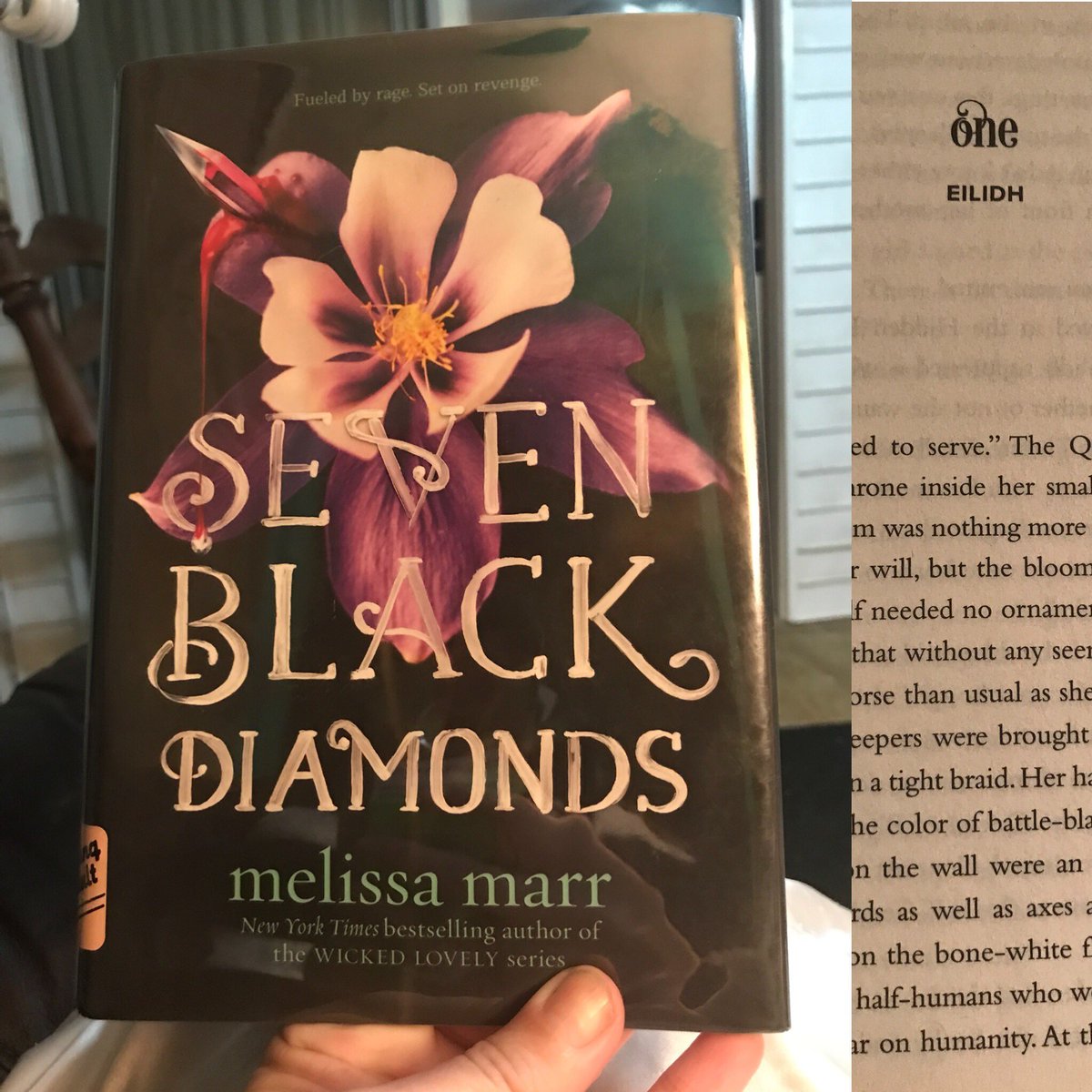 JeniReadABook's tweet photo. #prettypages #sevenblackdiamonds #melissamarr #nextbook #jenireadabook #readingissexy https://t.co/Hj3fyuVmu7