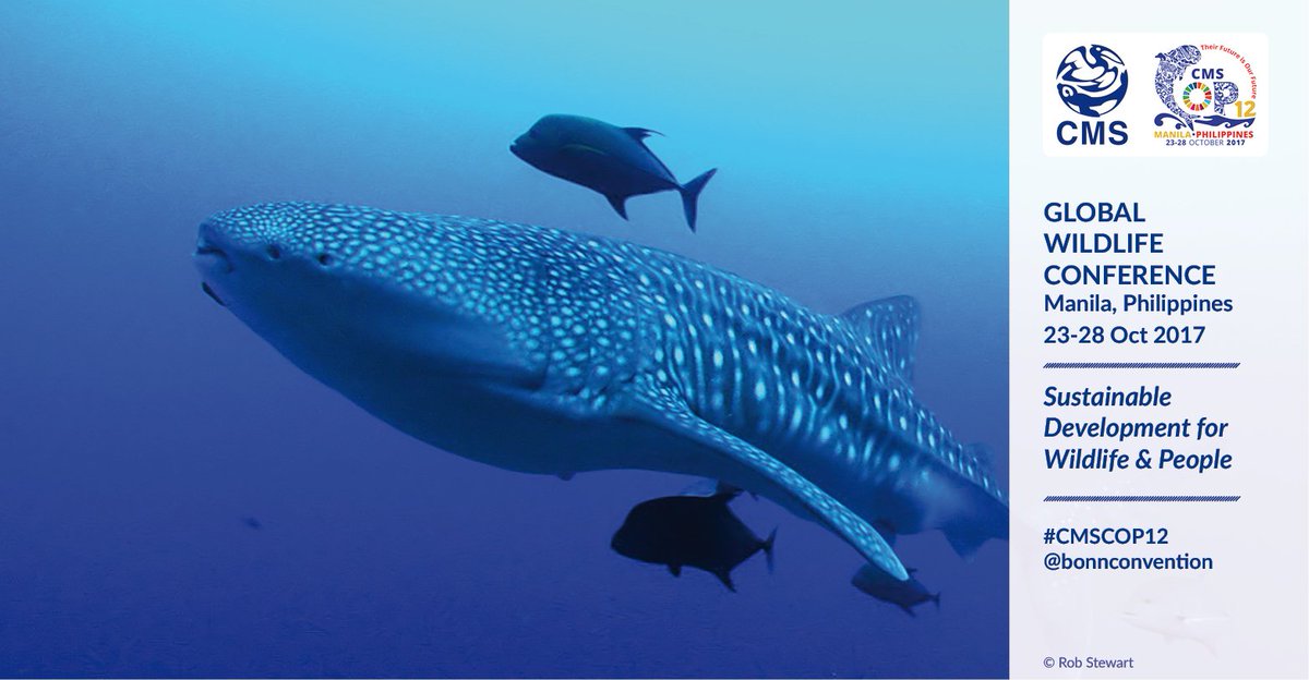 BonnConvention's tweet photo. The Committee of the Whole endorses all #fish proposals - what a great day for #sharks and #rays! #CMSCOP12 https://t.co/JjAY2tRazV