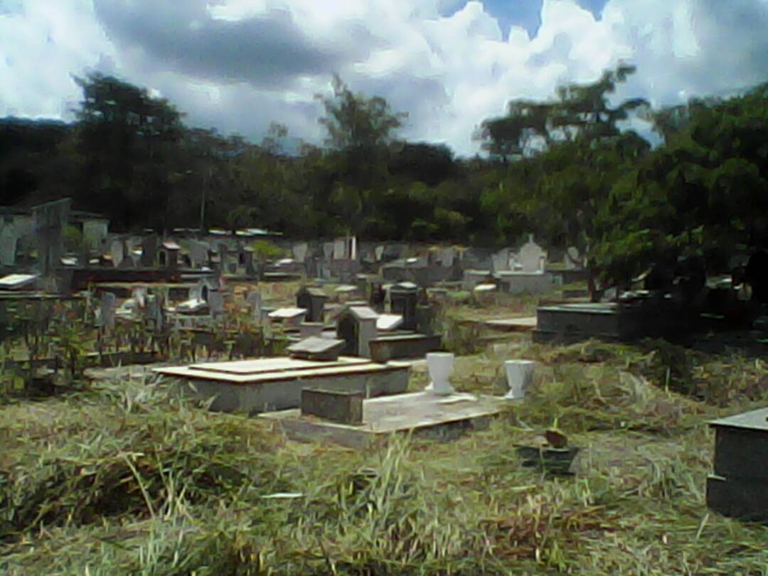 AlcaldiaPiar's tweet photo. Continúa el Desmalezamiento y mejoras en el Cementerio de San Lorenzo de Upata tres Días consecutivos para el día de los Difuntos https://t.co/kh7wCSXD4Y