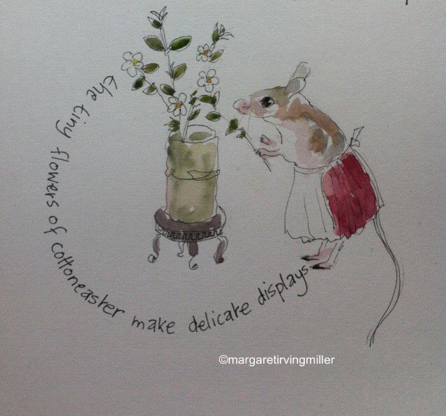 drawmill's tweet image. Forever Beatrix Pottered-small rodents in outfits...#draw#drawing #illustrate#mouse #watercolour#miniature#gardening