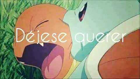 gaspodeibarrio's tweet image. Usted...