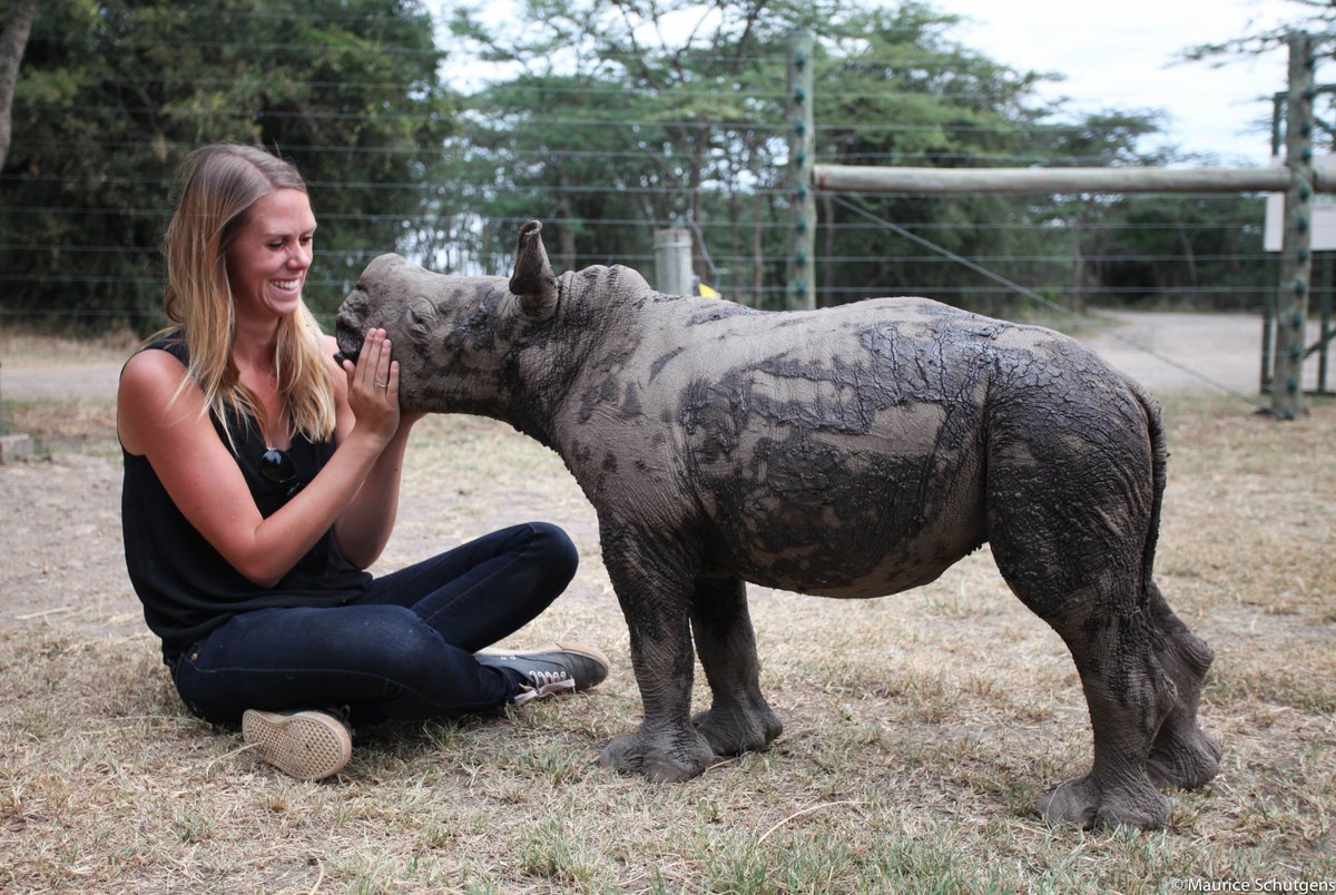 Remembering <a href="/OlPejeta/">Ol Pejeta</a>'s little old Ringo, a baby southern white rhino! We miss him dearly!

#conservation #rhinos #whyilovekenya