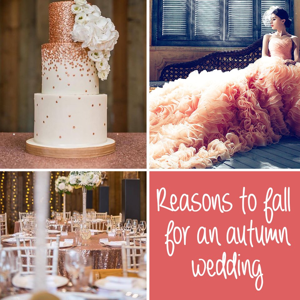 MagpieLinens's tweet image. We ❤️ autumn weddings! 🍁🍂Check out our new blog post on why autumn is the PERFECT time of the year to get married: goo.gl/yXSKq8
