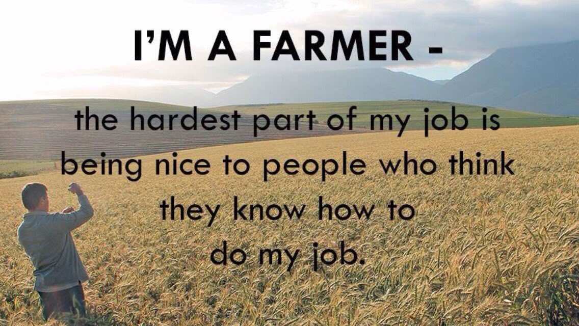 Pieter Dinkla tweet media