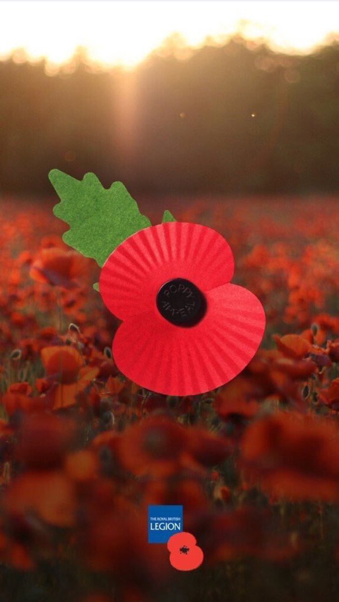 GemmaArmsden's tweet photo. The 2017 #PoppyAppeal starts today! #lestweforget #wearwithpride https://t.co/vFJ9YiHrCq