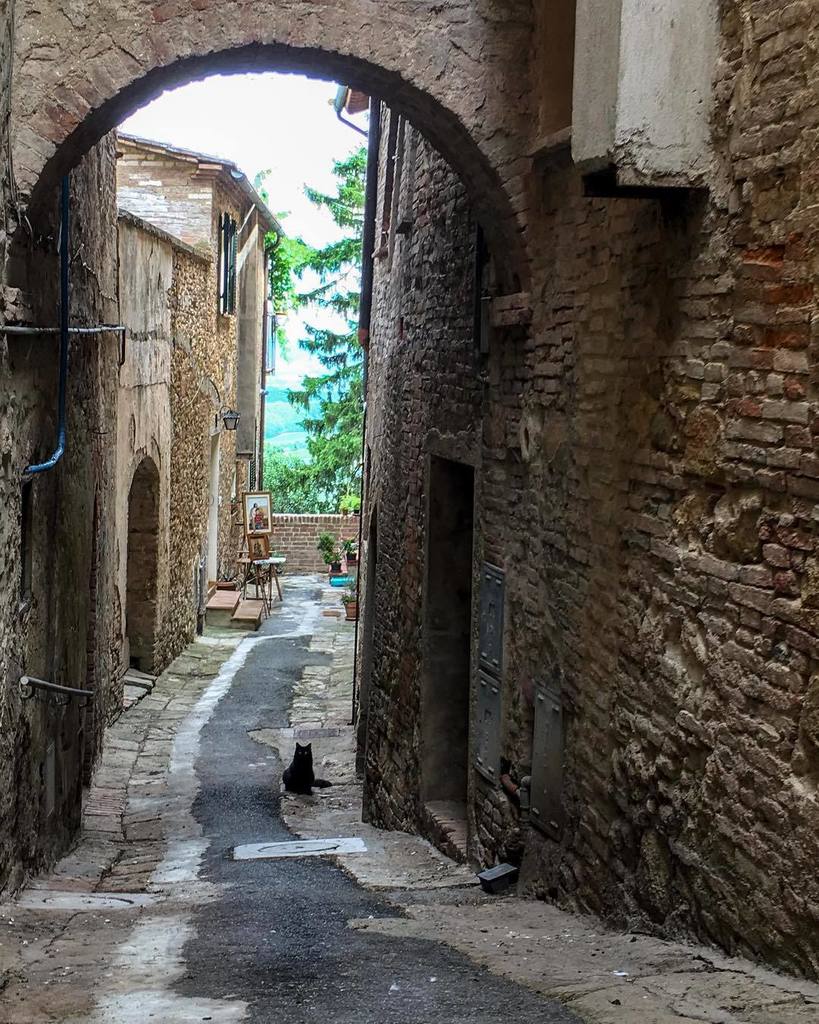 TheTPJournal's tweet image. ift.tt/2gEXwWD