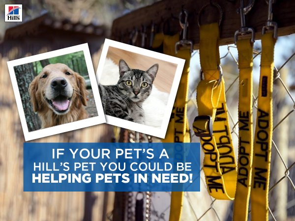 dargdays's tweet image. This is AWESOME!
We all have a chance to win with HillsTransformingLives.co.za! #dargdays #HillsLovesShelters
@HillsPetSA