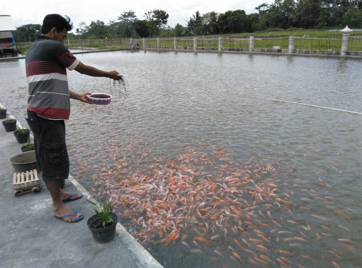 satriyo anggoro tweet media