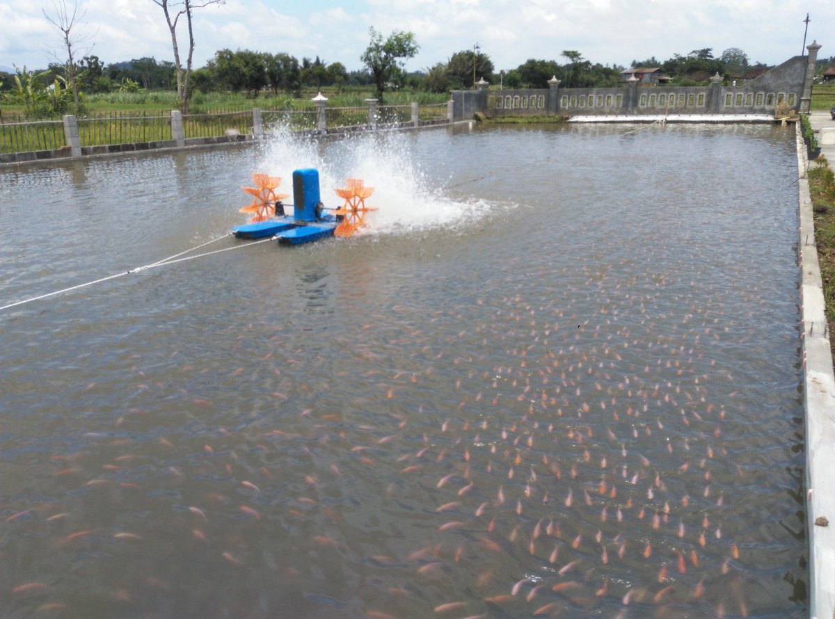 satriyo anggoro tweet media