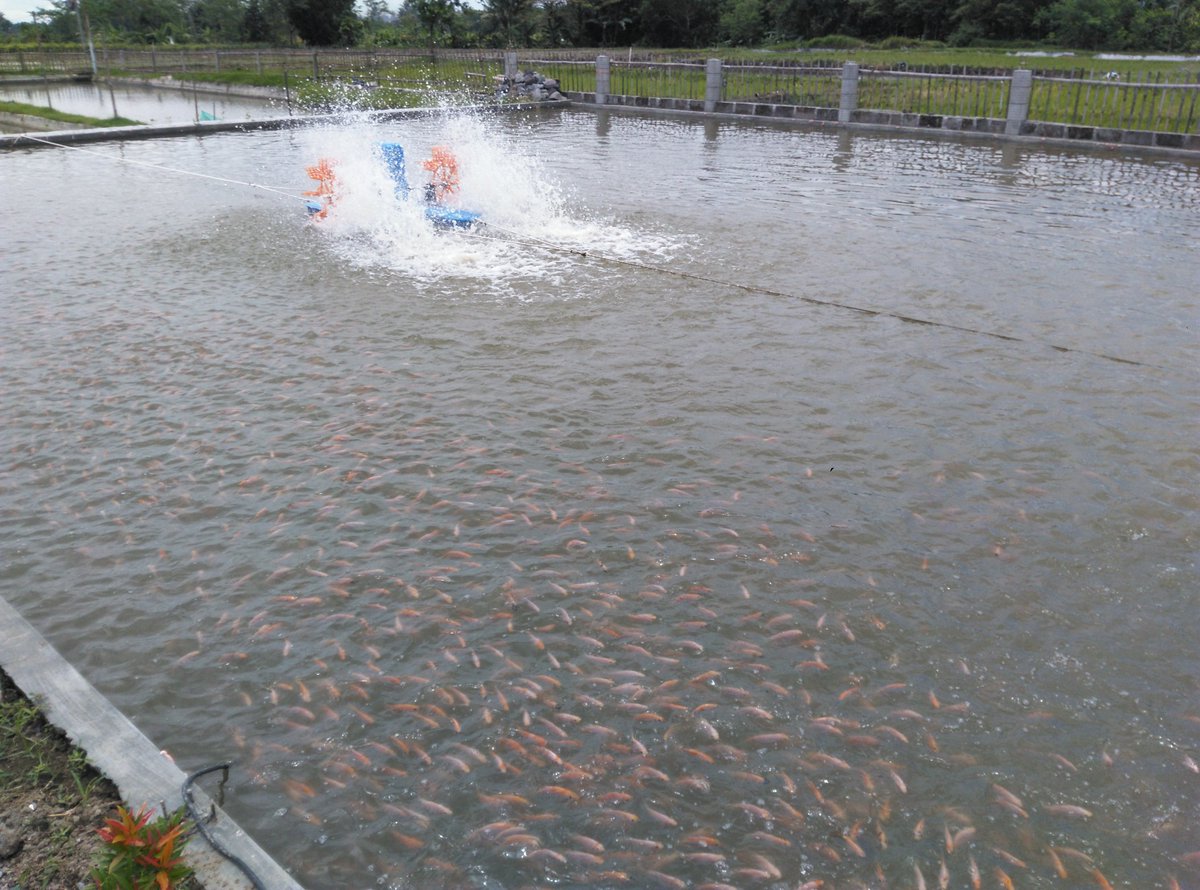 satriyo anggoro tweet media