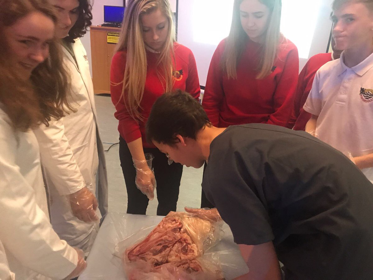 Talent_Bank_'s tweet photo. Amazing opportunity for students provided by Talent Bank - Vivit Surgery Experience @ @SwanseaMedicine! https://t.co/Kh0jqIa0nD