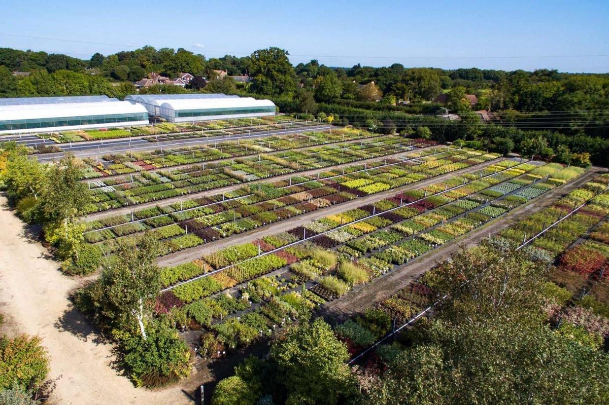 Winkworth On Twitter A Dream Green Package Hampshire Home With