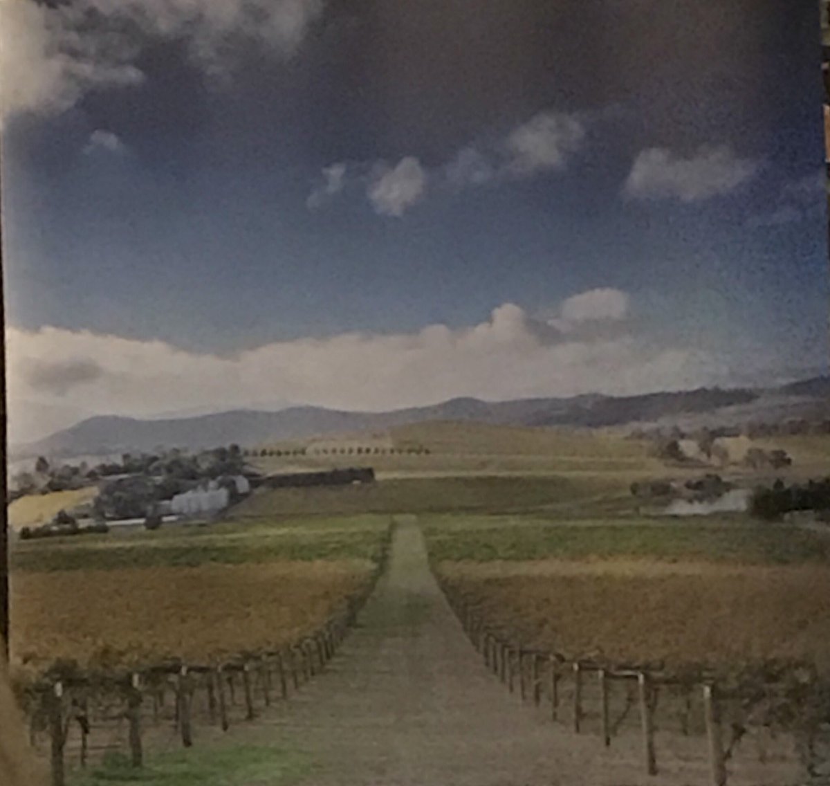 Sirrahharas81's tweet photo. Just like being there... #FabulousDeBortoli @FabLadiesWine @DeBortoliWines #goodfood #greatwine #fabulouscompany #notworkingtomorrow https://t.co/Zya1XrKAJK