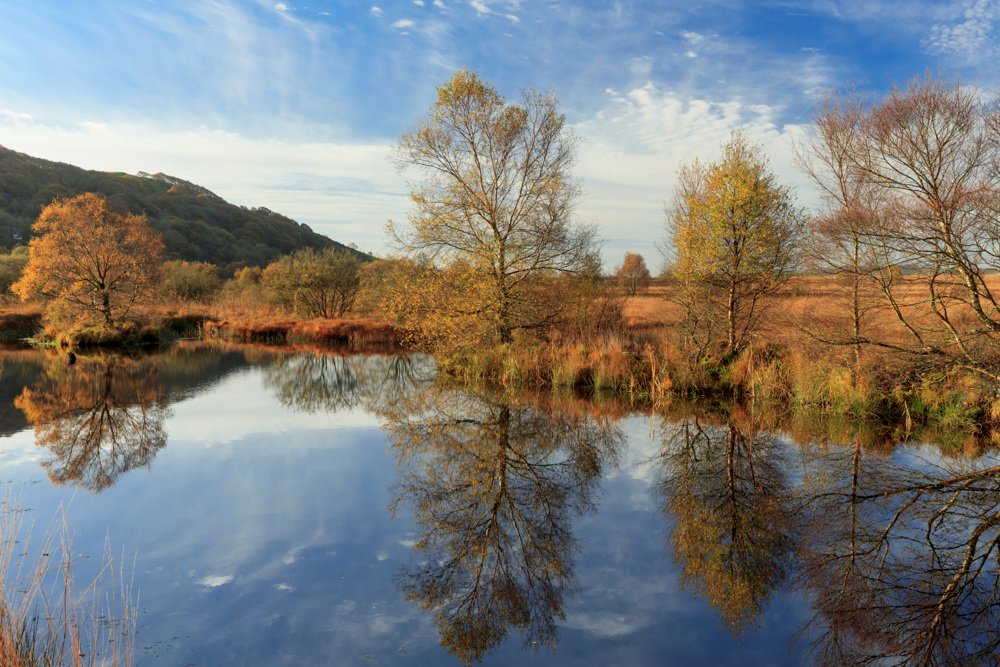 Janet Baxter tweet media