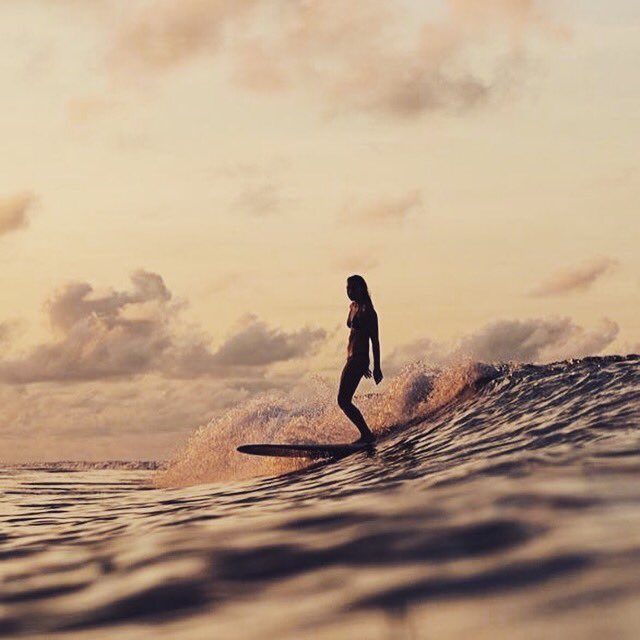 gidgetlefleur's tweet photo. #surf #surfing #beach #nature #love https://t.co/8z5NOtSP88