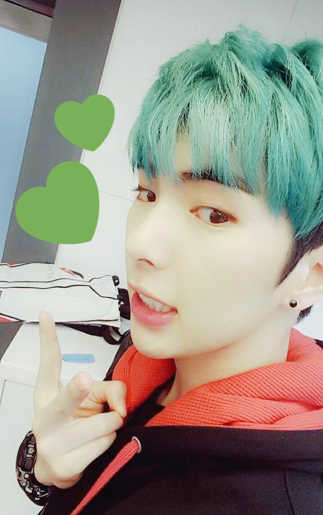 plantchan's tweet photo. We know a thing or two about green hair 💚🦎 #imfactstanselcaday #jian #imfact https://t.co/FxRNykWv9J