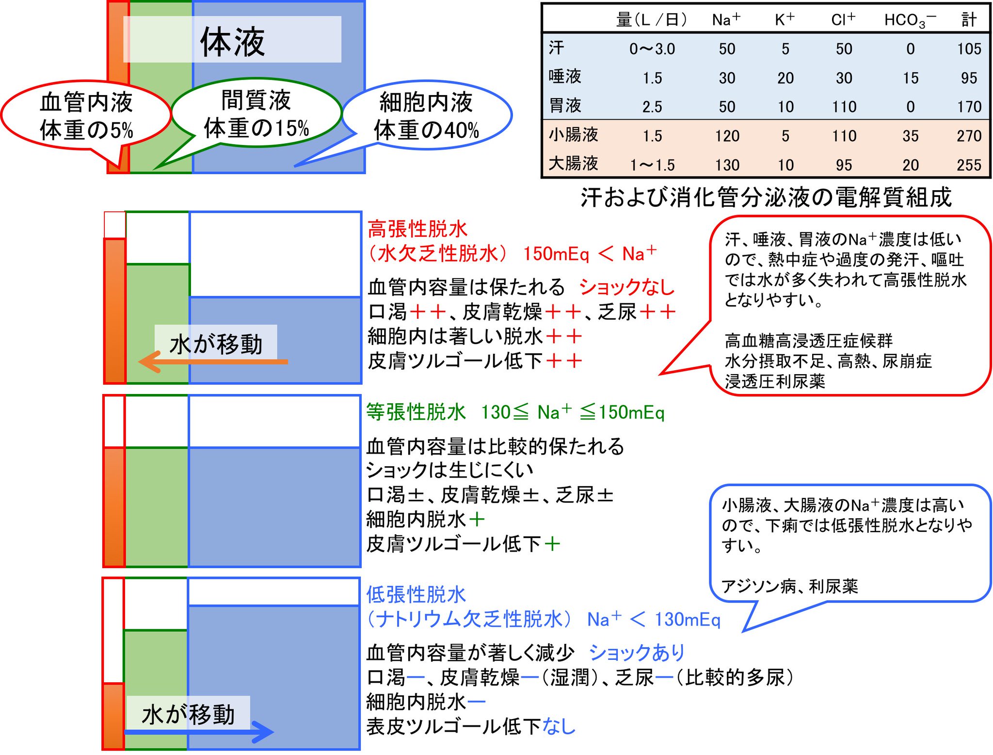 Oj On Twitter 高張性脱水１ 汗 唾液 胃液のナトリウム濃度は細胞外液よりも低いので 熱中症や嘔吐では水が多く失われて高張性脱水 になりやすい 高張性脱水では間質 細胞内から血管内へ水が引き込まれるので 循環血液量はそこそこ保たれており ショック