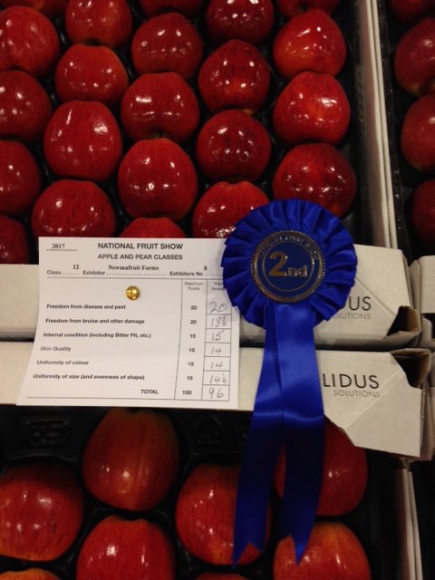 FruitnVeg_Spits's tweet photo. Congrats too to 2nd @newmafruitfarms and 3rd #loddingtonfarm in 'Any Other Variety of Dessert Apples' category @nationalfruit #nfs17 https://t.co/JMQpDWnt9l