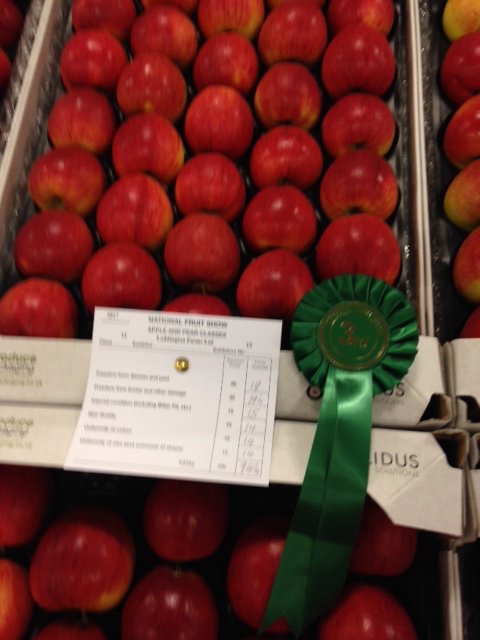 FruitnVeg_Spits's tweet photo. Congrats too to 2nd @newmafruitfarms and 3rd #loddingtonfarm in 'Any Other Variety of Dessert Apples' category @nationalfruit #nfs17 https://t.co/JMQpDWnt9l