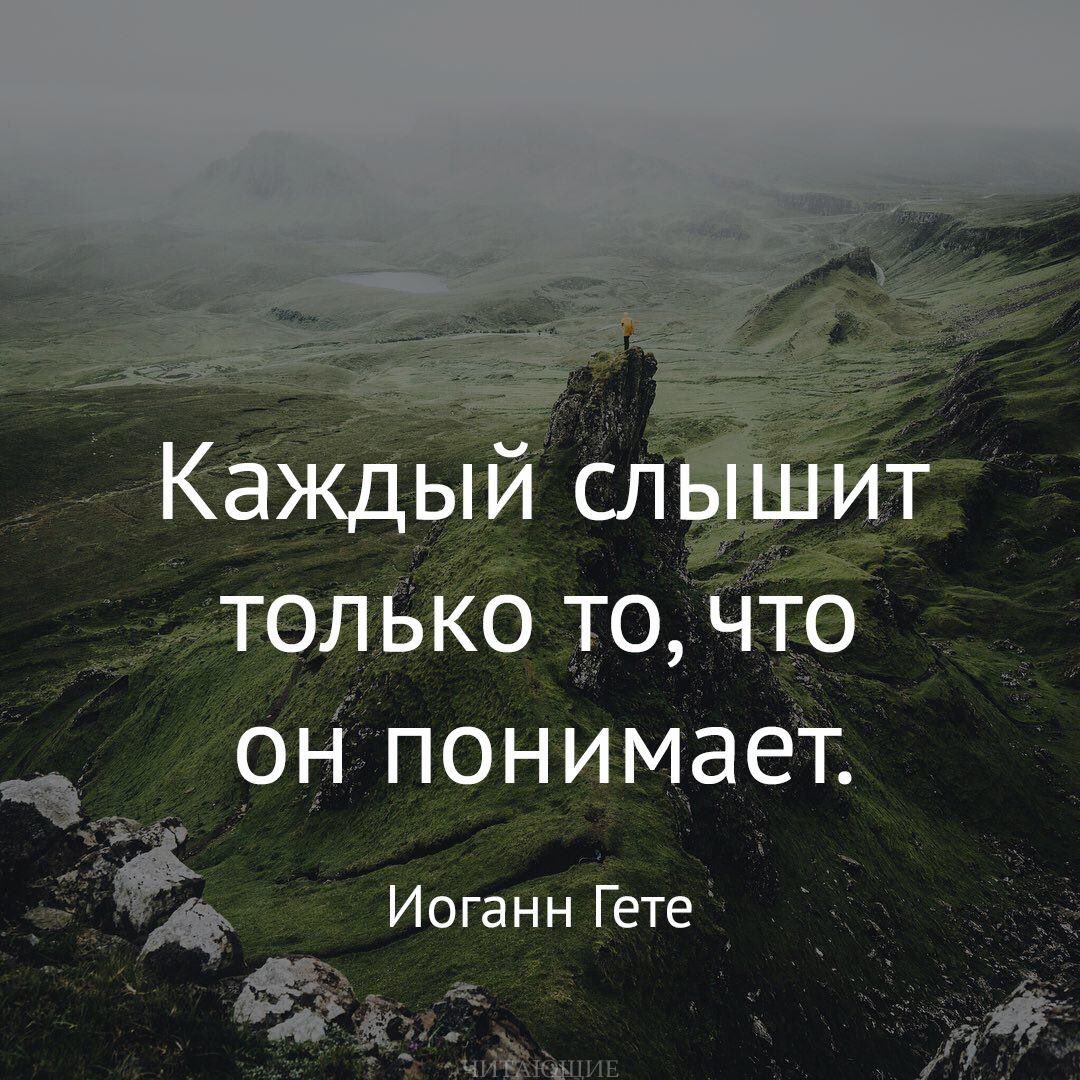 Соня Джаватова (@zonyadwatova) on Twitter photo 