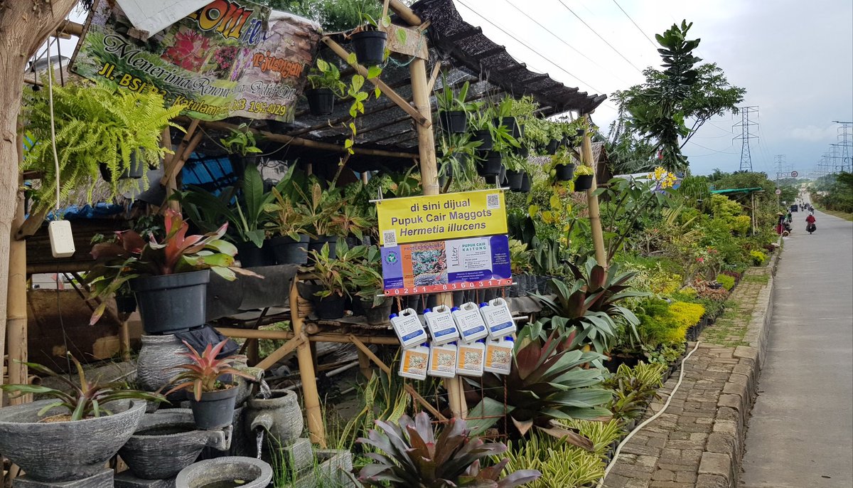 HBIC27613605's tweet photo. Pupuk Cair Maggots (PCM) kini bisa dibeli di Toko Bunga Jalan R3 (Jl. Kolonel Ahmad Syam) Kota Bogor Timur. Gerakan #bebassampah2020 https://t.co/alP0Du8kWc