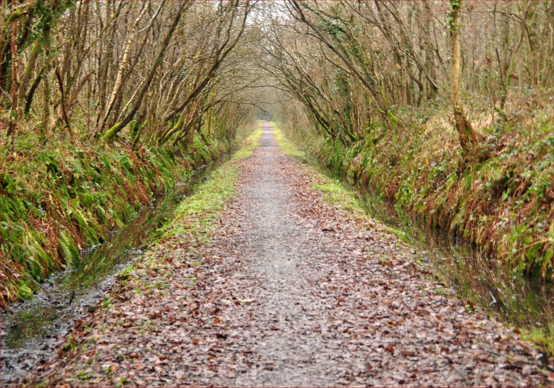 TarkaTrail's tweet image. Get your Guide at local outlets  ow.ly/Y53b30eDKPS  The 4th edition is hot off the press #Walking #Cycle @lovenorthdevon @Local_Devon