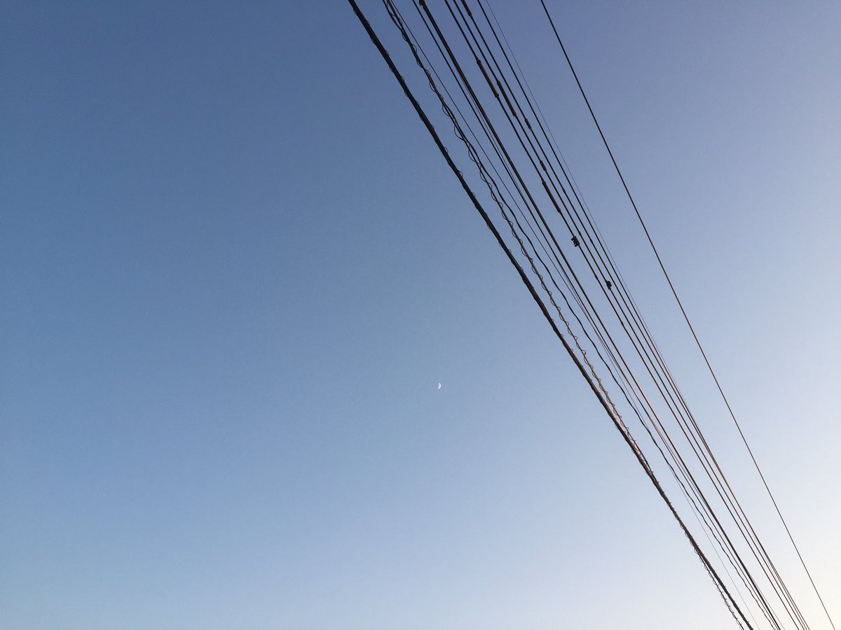 今の時期の夕方の空が
1年の中で一番好きだな〜