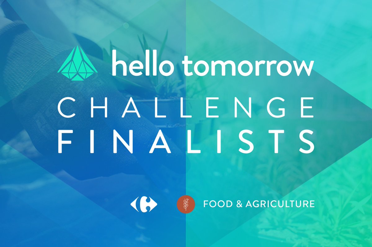 NicolasViard's tweet photo. #insectmeal, #blockchain, #drones...  #startup #FoodTech #DeepTech  par @hellotmrc ?  https://t.co/6HERXgbACl #HTSummit #HTchallenge https://t.co/9xjfhrv5KD