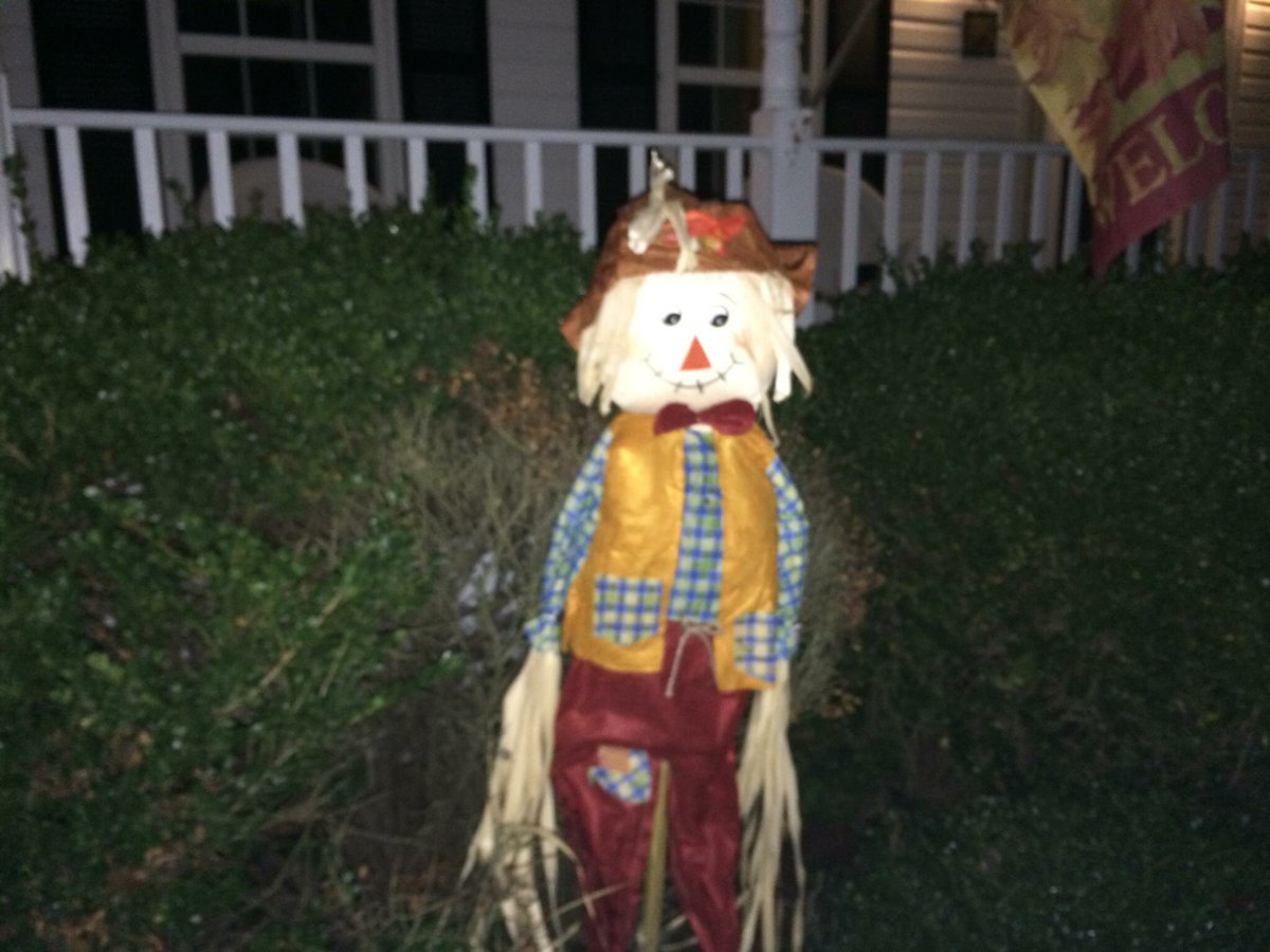 RobCardwellCBS6's tweet photo. #TBT - 2 yrs ago my wife put this out while I was sleeping.
Next morning, in the dark, I thought it was Freddie Kruger. #highpitchscream https://t.co/wimVmQqtpf
