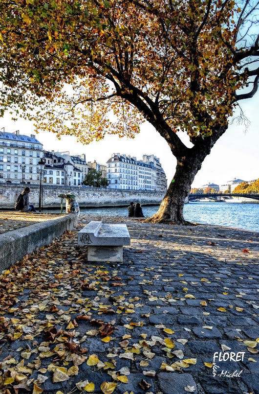 ParisAMDParis's tweet photo. Île Saint Louis Paris https://t.co/6TW7OXVjyv
